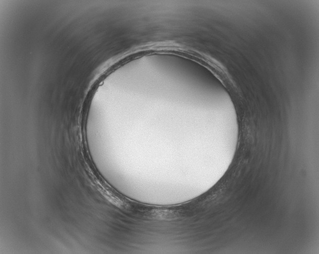 X0000080771176200701051254