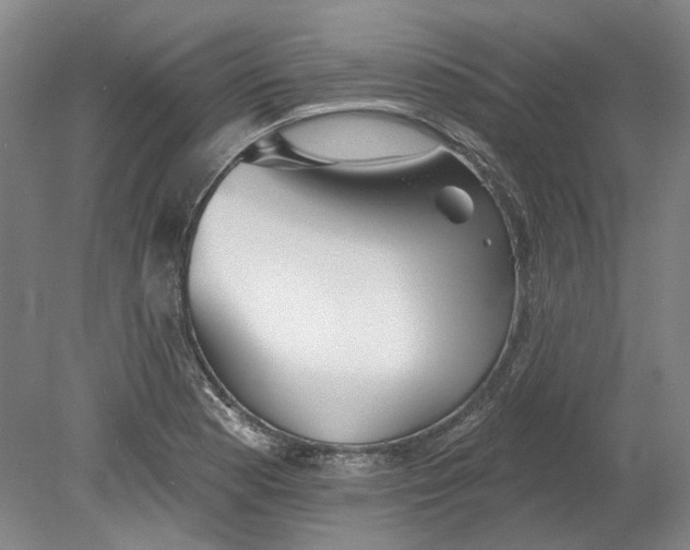 X0000080771177200701051254