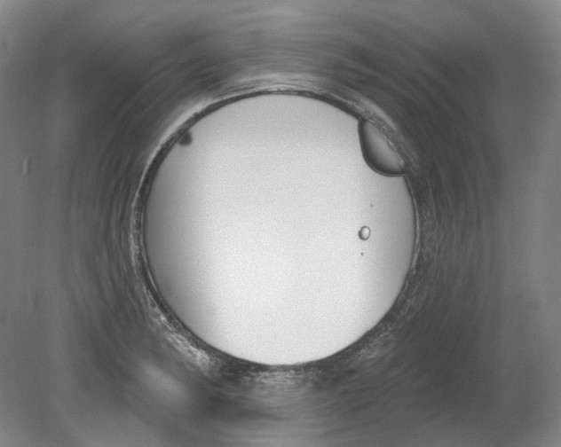 X0000080771182200701051254