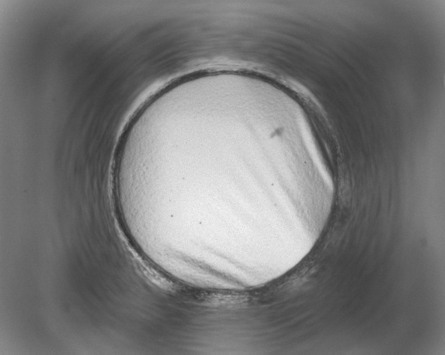 X0000080771183200701051254