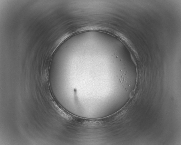 X0000080771185200701051254