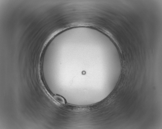 X0000080771187200701051254