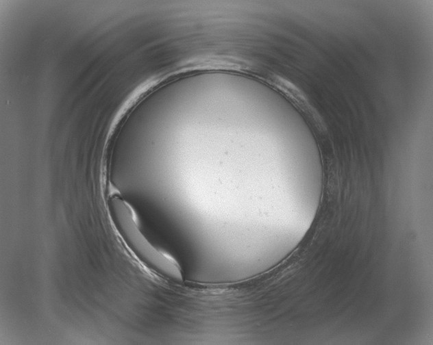 X0000080771188200701051254