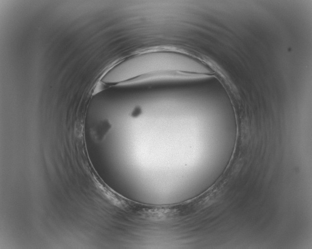 X0000080771193200701051254