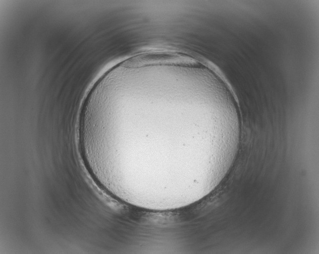 X0000080771195200701051254