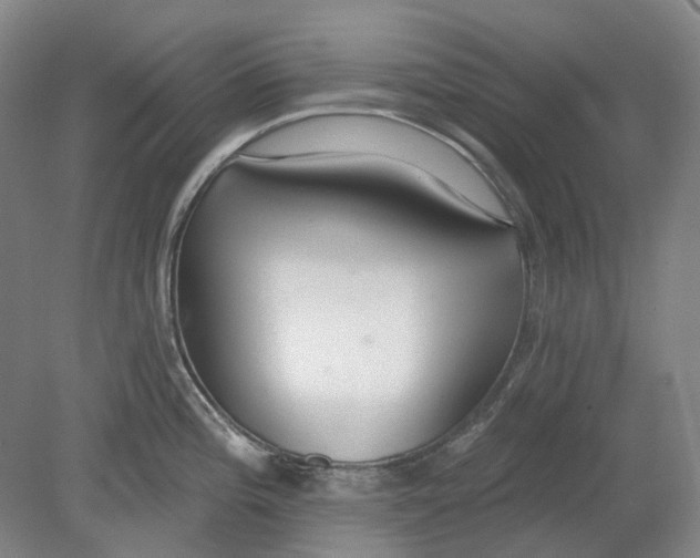 X0000080771196200701051254