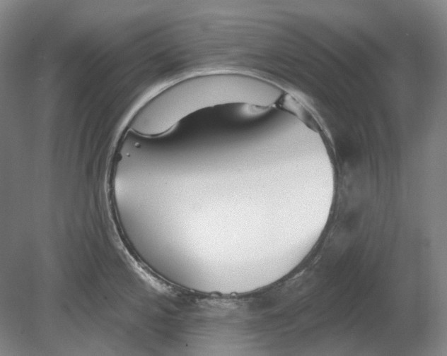 X0000080771197200701051254