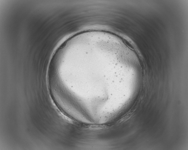 X0000080771199200701051254