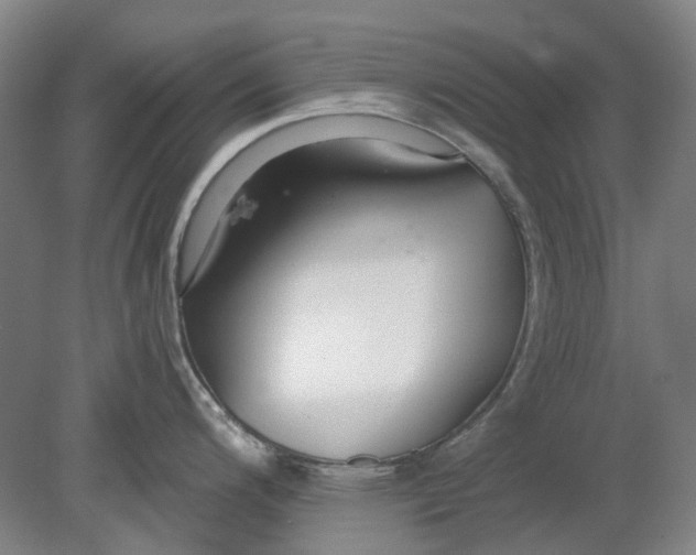 X0000080771200200701051254