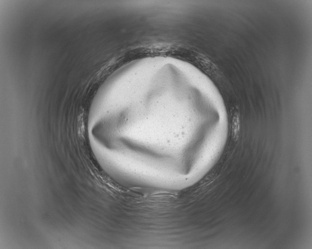 X0000080771204200701051253