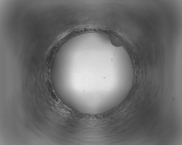 X0000080771207200701051253