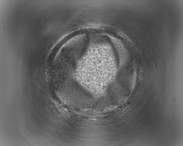 X0000080771208200701051253