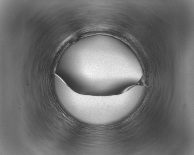 X0000080771210200701051253