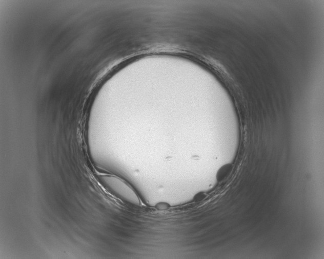 X0000080771212200701051253