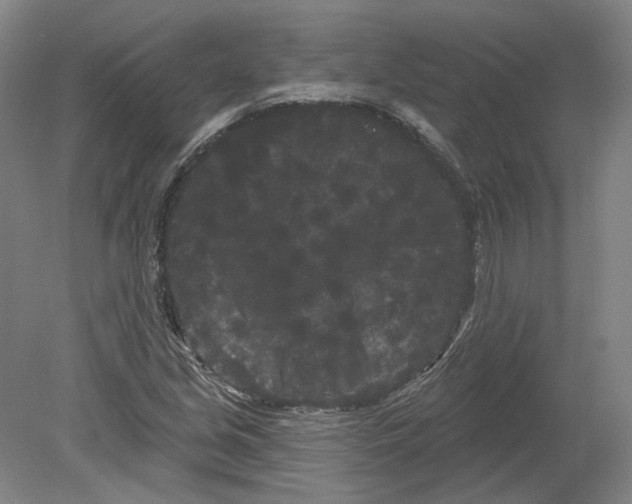 X0000080771213200701051253