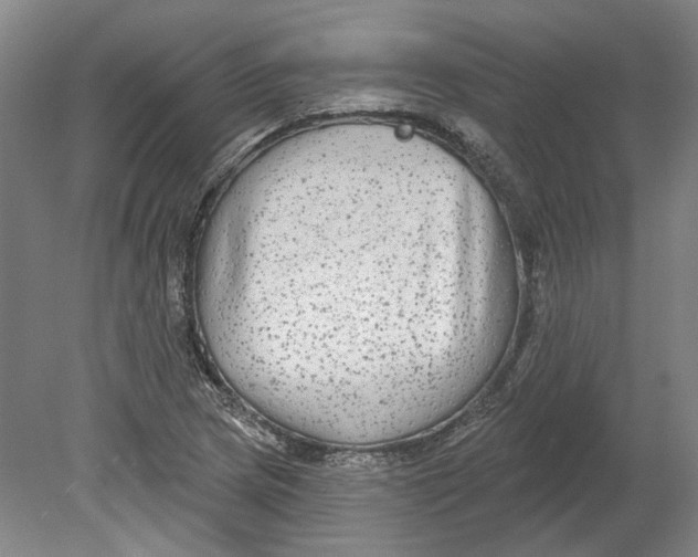 X0000080771217200701051253