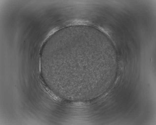 X0000080771219200701051253