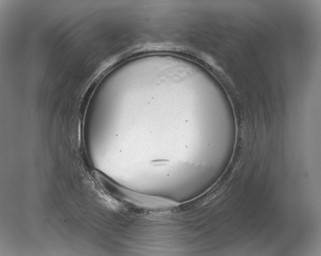 X0000080771221200701051253