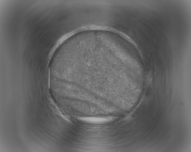 X0000080771223200701051253