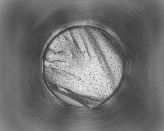 X0000080771224200701051253