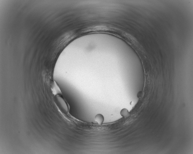 X0000080771225200701051253