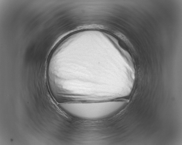 X0000080771228200701051253