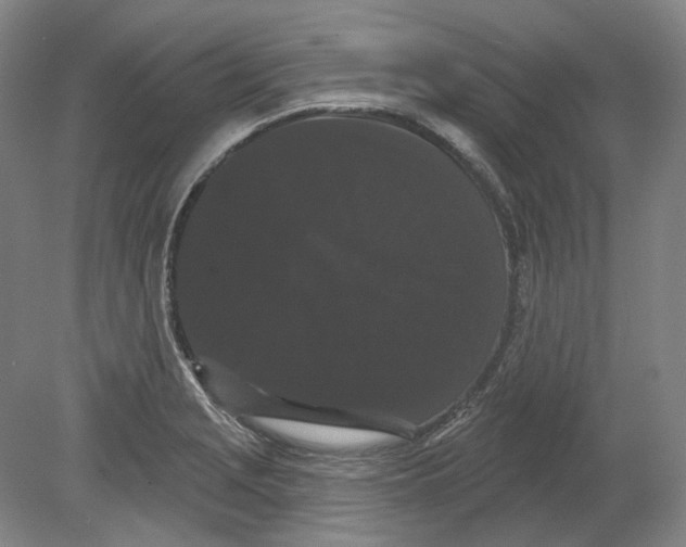 X0000080771229200701051253