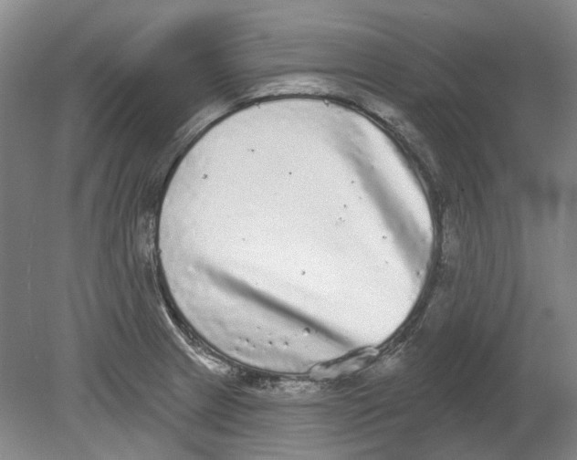 X0000080771233200701051253