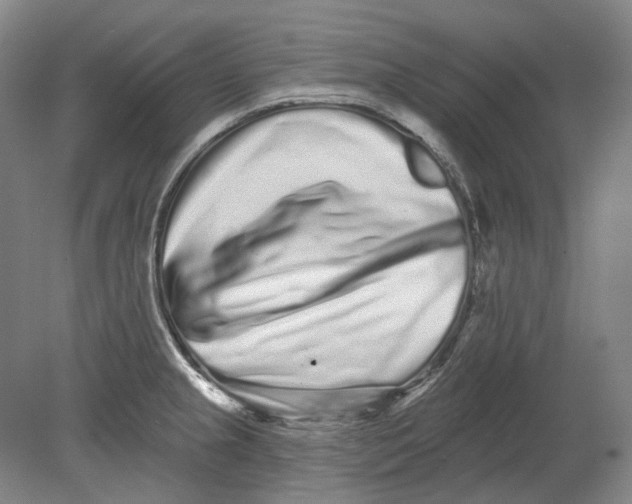 X0000080771237200701051253