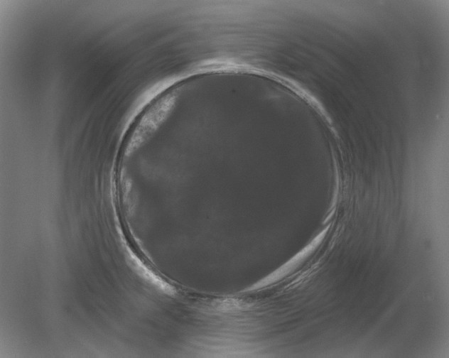 X0000080771239200701051253