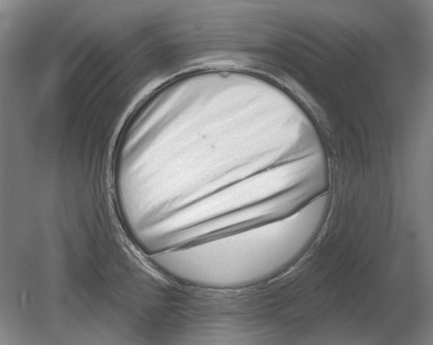 X0000080771240200701051253