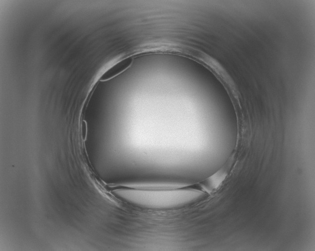 X0000080771242200701051253