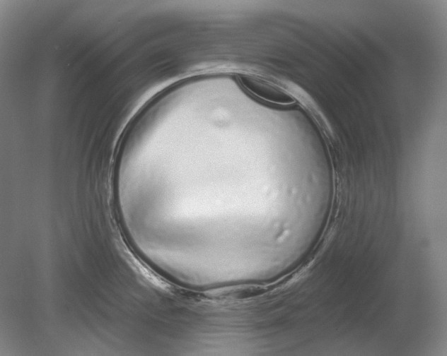 X0000080771244200701051254