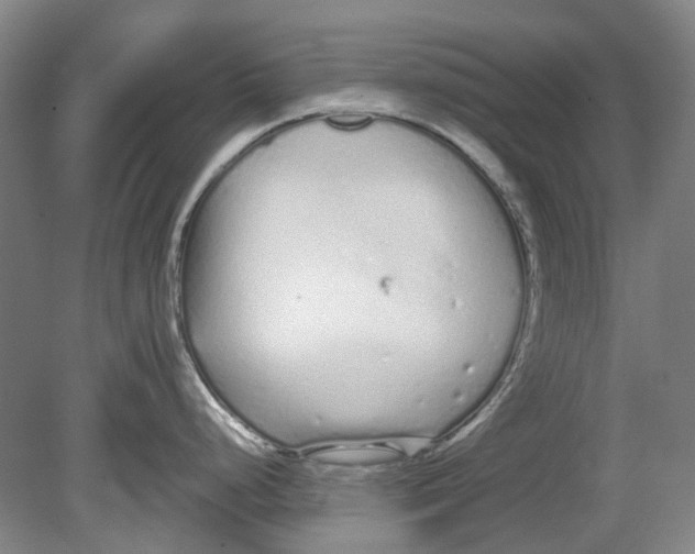 X0000080771248200701051254