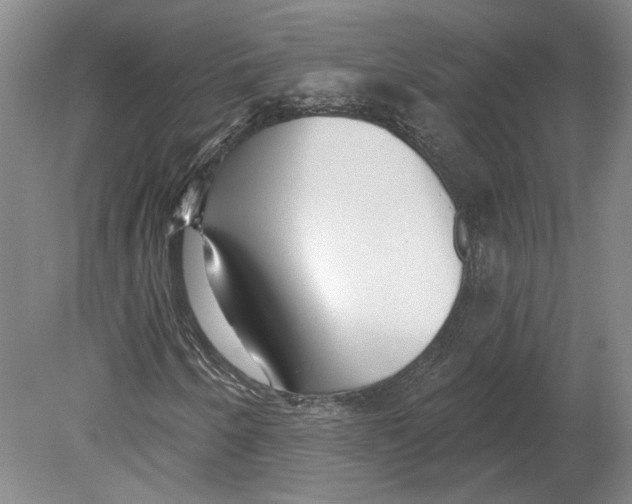 X0000080771250200701051253