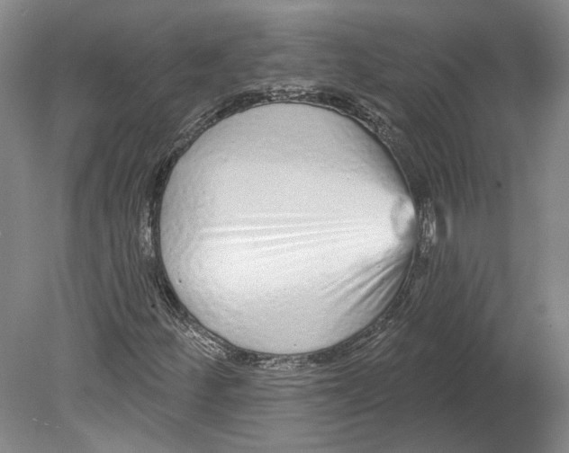 X0000080771252200701051253