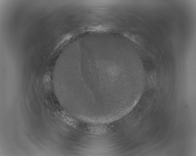 X0000080771254200701051253