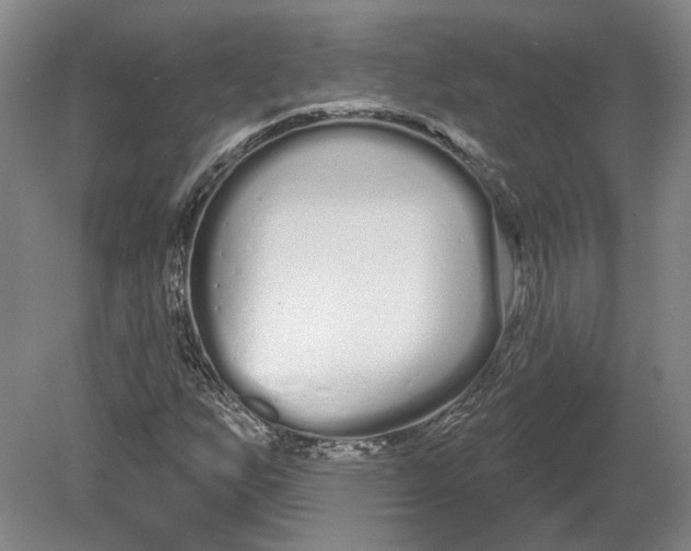 X0000080771255200701051253