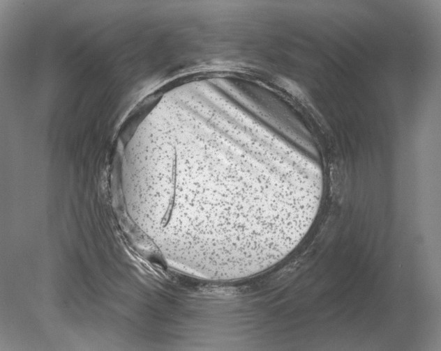 X0000080771260200701051253