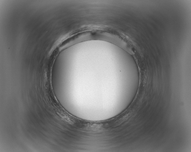 X0000080771261200701051253