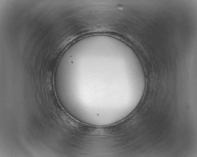 X0000080771265200701051252