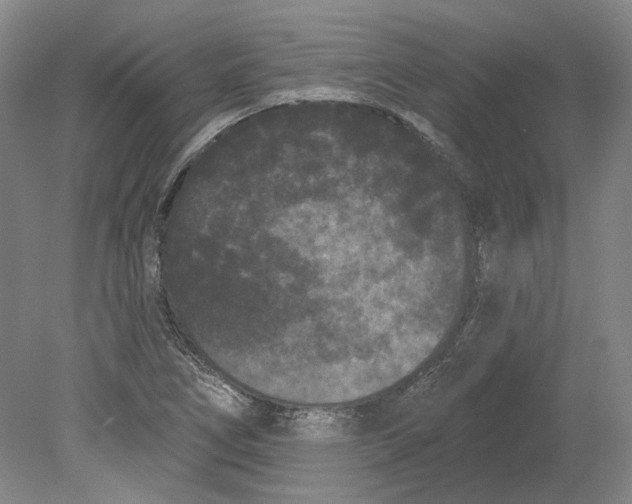 X0000080771266200701051252