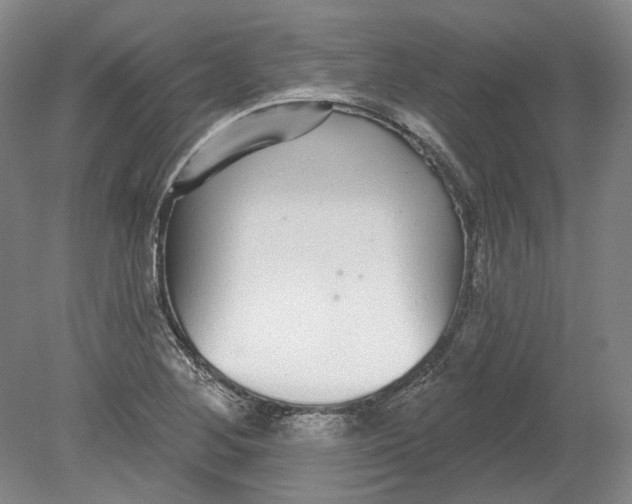 X0000080771268200701051252