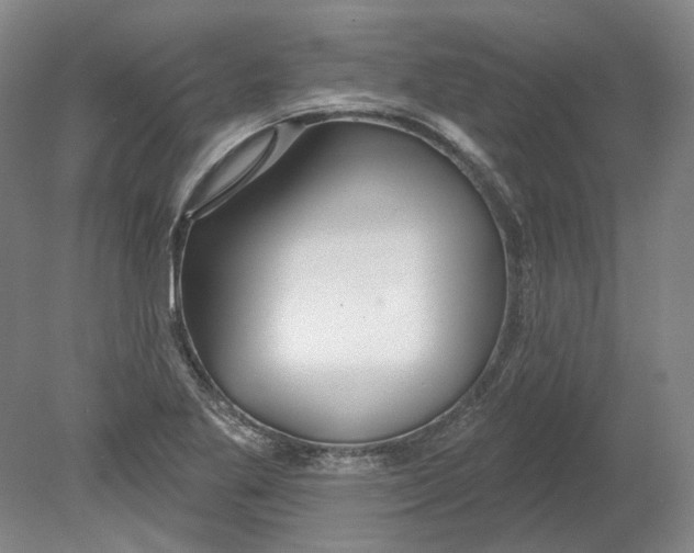 X0000080771269200701051252