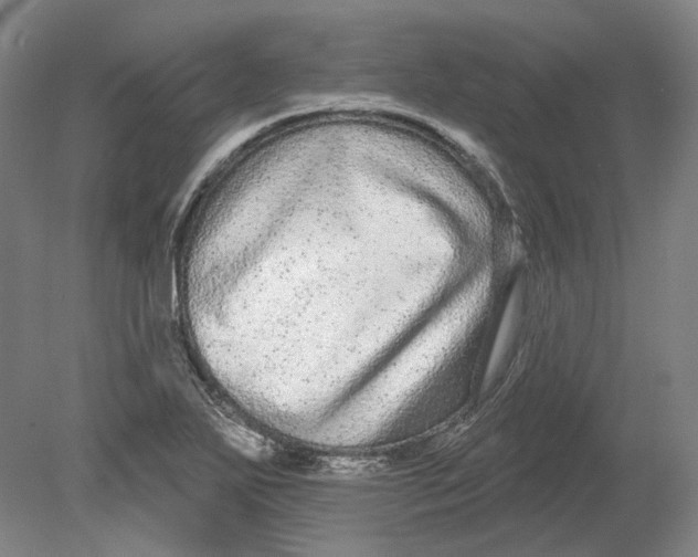 X0000080771271200701051252