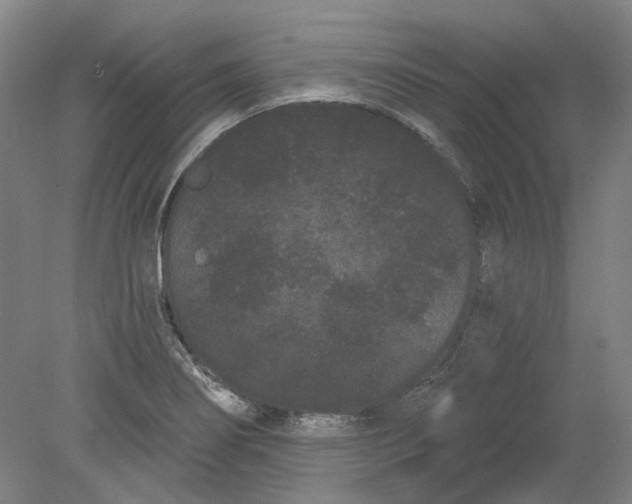 X0000080771274200701051252