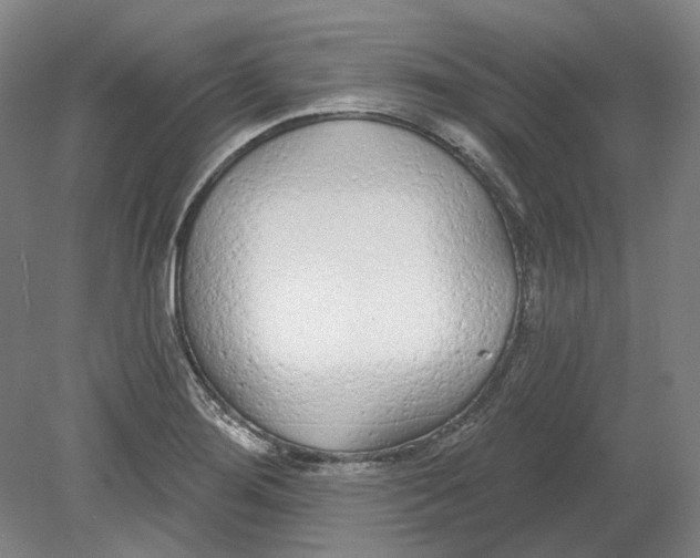 X0000080771276200701051252