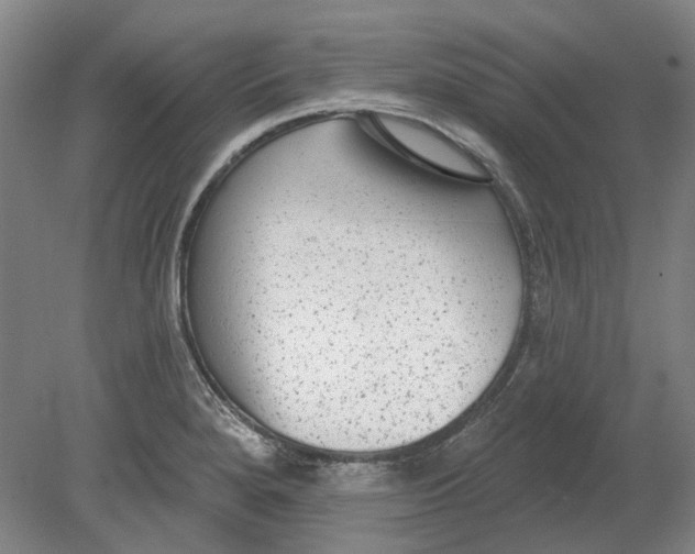 X0000080771280200701051252