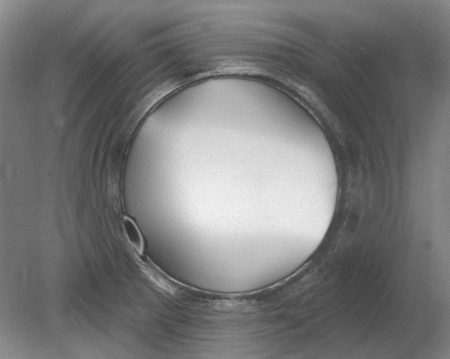 X0000080771281200701051252