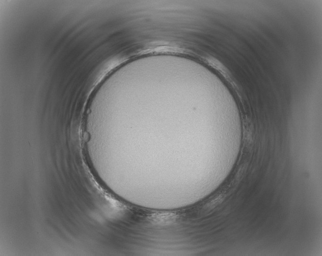 X0000080771282200701051252